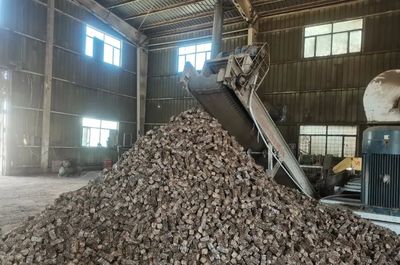 新疆鞏留 多舉措賦能綠色高質量發展，助力生物質燃料加工產業升級