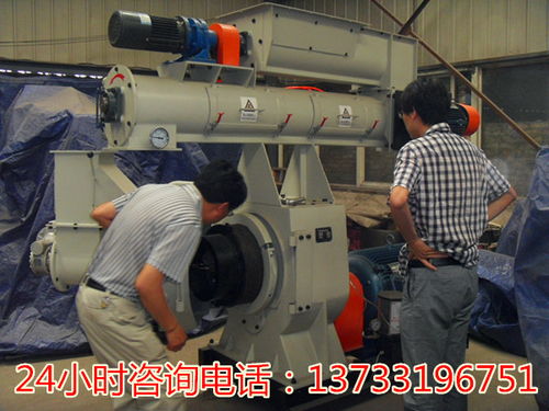 廣東江門飼料顆粒成型機價格解析與生物質燃料加工應用