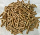 綠色能源新勢力 漳州生物質(zhì)顆粒燃料生產(chǎn)廠引領(lǐng)優(yōu)質(zhì)燃料加工